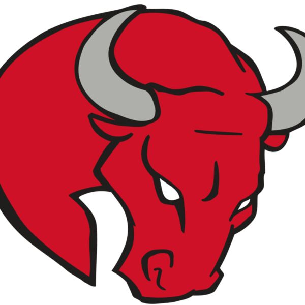 AR BULL 24 RC Thumbnail