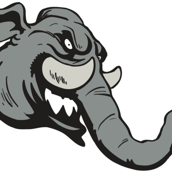 AR5 Elephant 06 RQC Thumbnail