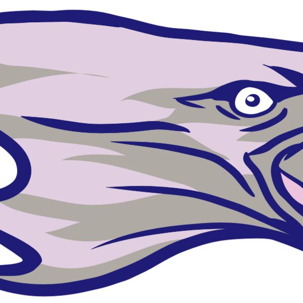 AR15 EAGLE 01 RQC Thumbnail