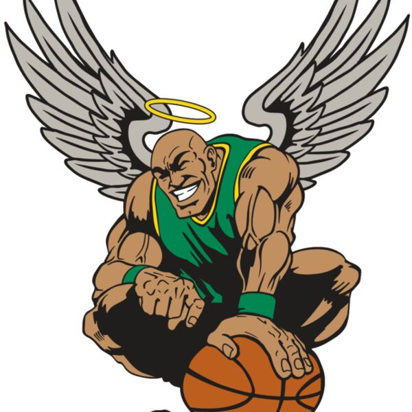 AR17 ANGEL BSKT 03 RQC Thumbnail