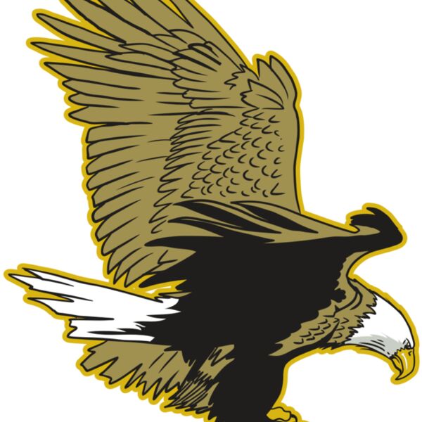 AR10 EAGLE 01 RQC Thumbnail