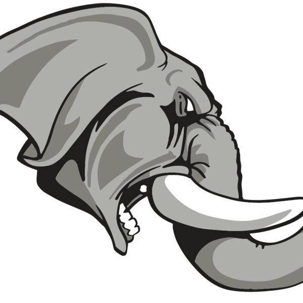 AR ELEPH 20 RC Thumbnail