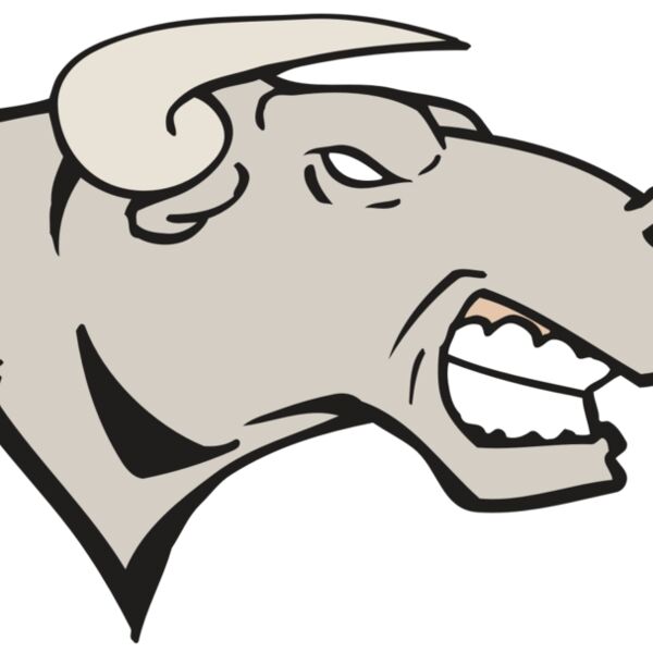 AR BULL 18 RC Thumbnail