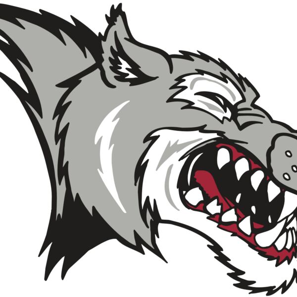 AR WOLF 15 RC Thumbnail