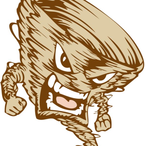 BAW STORM 10 RC Thumbnail