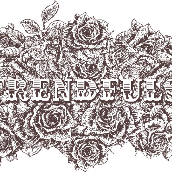 designious t shirt design 286 Thumbnail